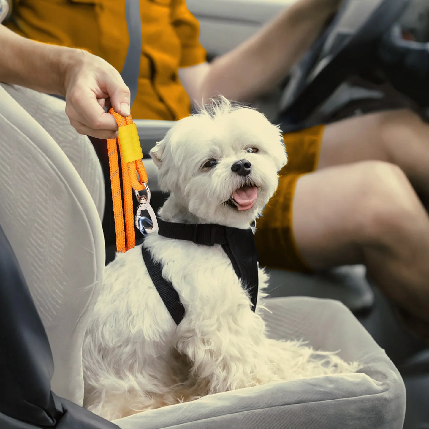 Pawaboo Dog Seatbelt for Car, Dog Car Harness Leash with Dual Round Ropes Enhance Strength, Pet Vehicle Safety Belt Leash