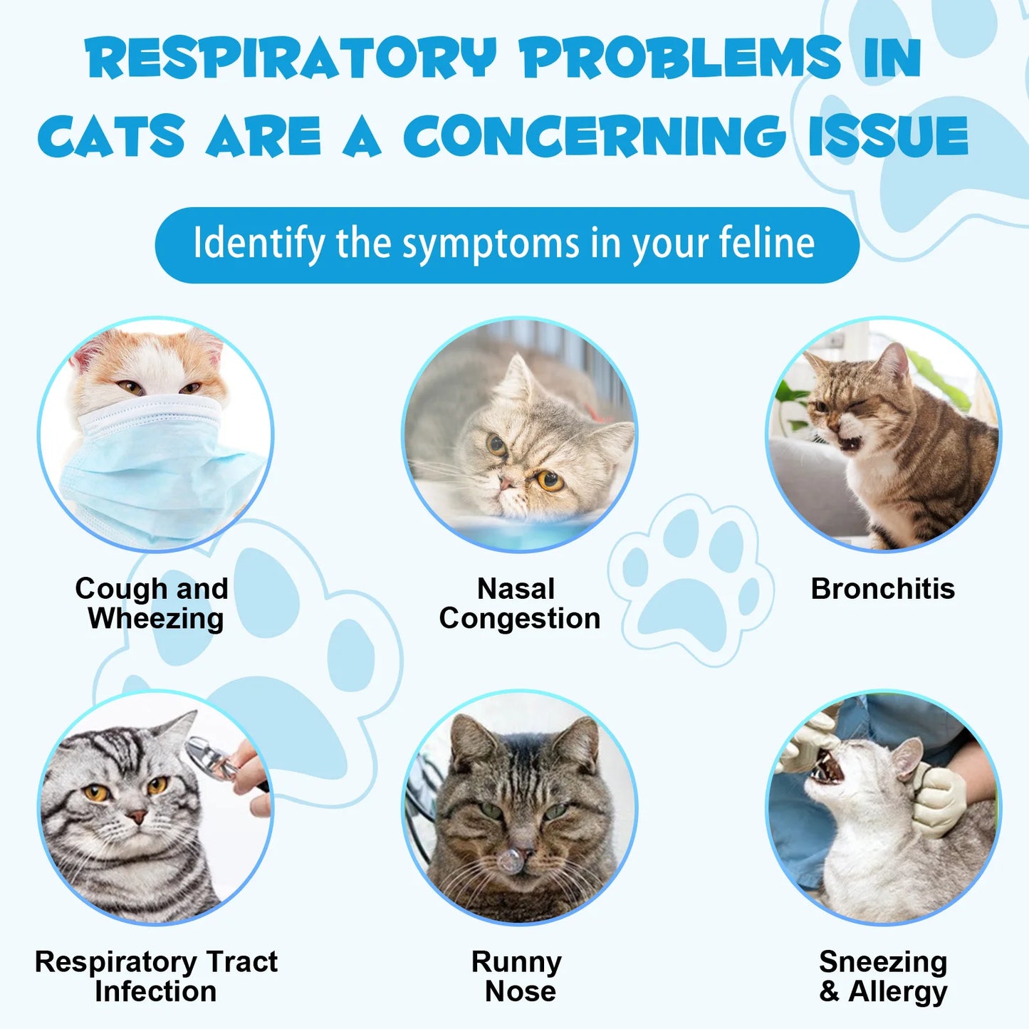 Cough Relief Drops for Cats Throat Soother Dry and Wet Pet Cough 2 Fl Oz Ingredients Formulated to Soothe Pets Irritated Throat