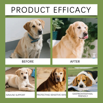 Dog Taurine Powder Easy-To-Mix Support Cognitive Health Enhance Hair Radiance Improve Heart Wellness Pet Nutritional Supplements