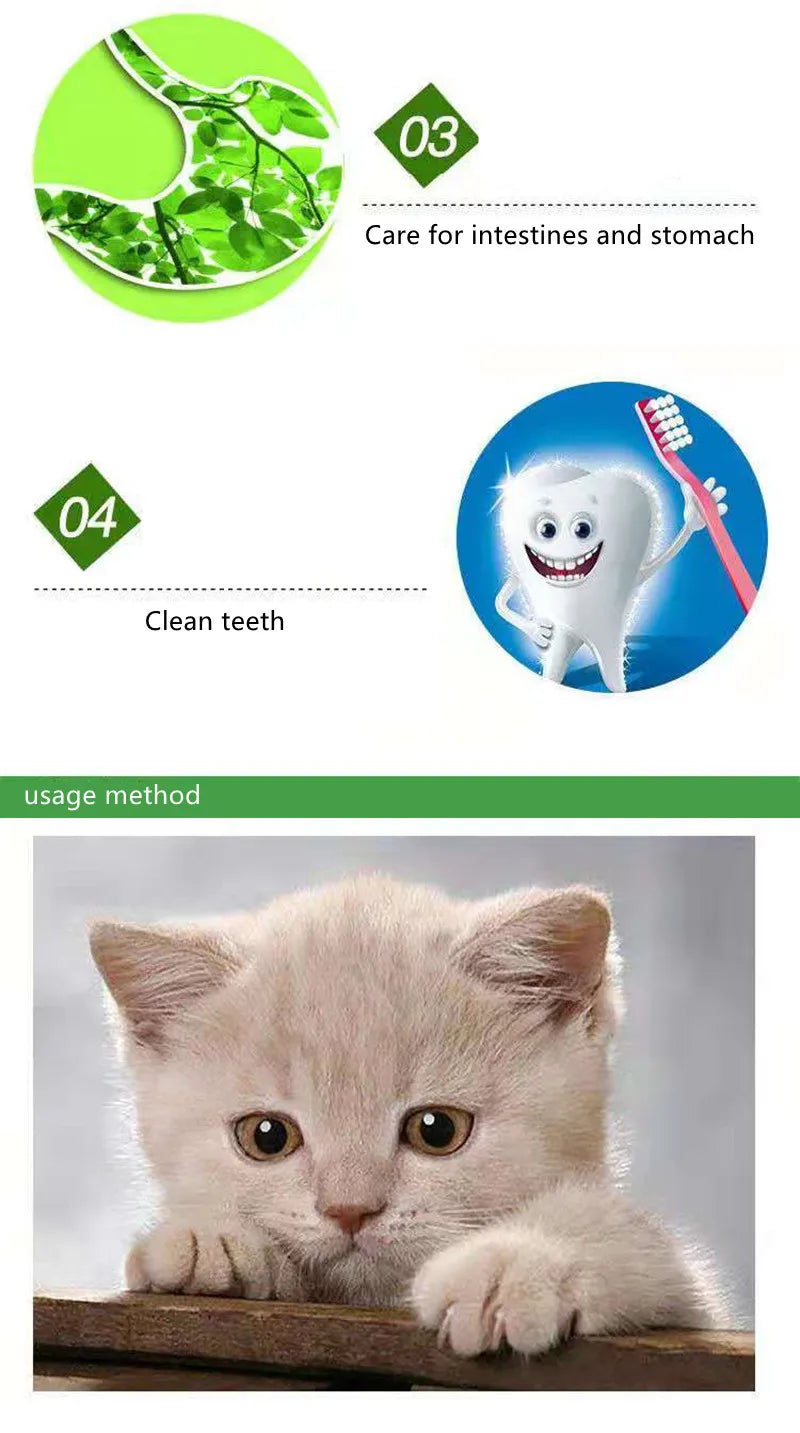 Cat Catnip Cattle Grass Non-toxic Catmint Funny Cat Treats Toys Cats Accessories Helps Digestion and Eliminate Hair Balls