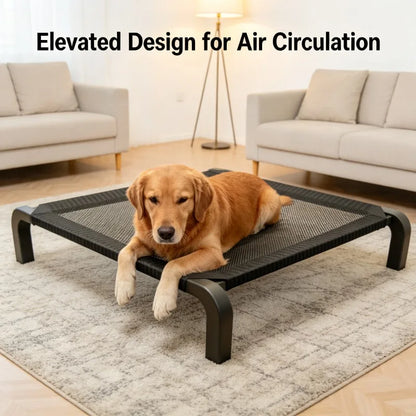 Pet Supplies Foldable Dog Bed All Season Large and Small Dogs Camp Bed Detachable Waable Military Sle Dog House for Summer Use