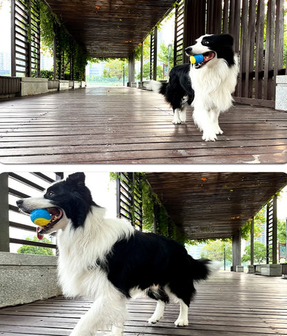Dogs  Interactive Toys Soft TPR Toys for Dog Pet Teeth Cleaning Bite Resistance Squeaky Dog Ball Toy