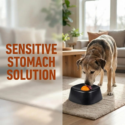 Dog lick Bowl Slow Feeder Dog Bowl for Liquid with Rolling Ball Interactive Lick Bowl AntiSlip for Wet Food Water Treat Lick Toy