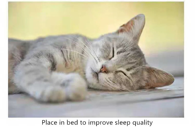 Cat Catnip Cattle Grass Non-toxic Catmint Funny Cat Treats Toys Cats Accessories Helps Digestion and Eliminate Hair Balls